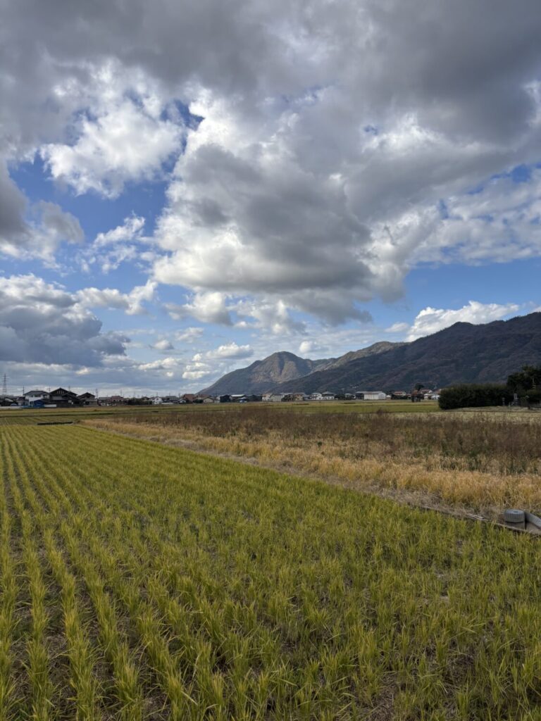 暑い！リフォーム対策！
